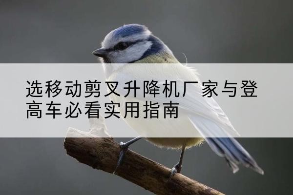 鄯善电动升降机厂家-选移动剪叉升降机厂家与登高车必看实用指南