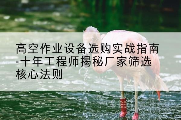 鄯善剪叉式升降机厂家-高空作业设备选购实战指南-十年工程师揭秘厂家筛选核心法则