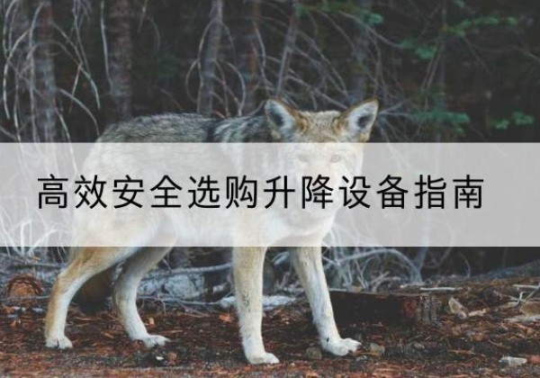 鄯善升降货梯厂家推荐-*安全选购升降设备指南