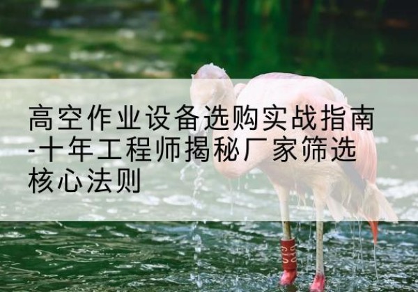 鄯善剪叉式升降机厂家-高空作业设备选购实战指南-十年工程师揭秘厂家筛选核心法则